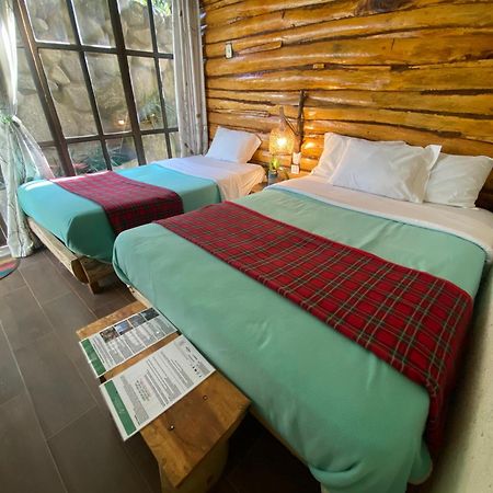 Eco Quechua Lodge Santa Teresa  Luaran gambar