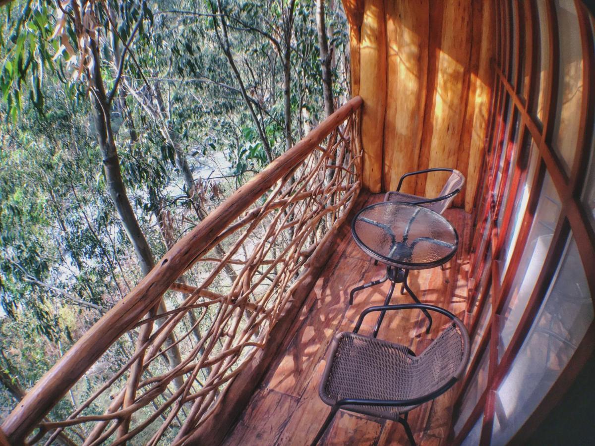 Eco Quechua Lodge Santa Teresa  Luaran gambar