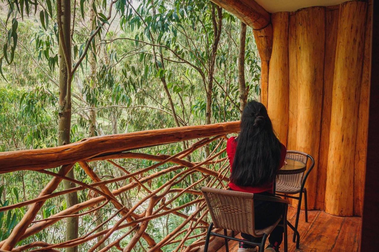 Eco Quechua Lodge Santa Teresa  Luaran gambar