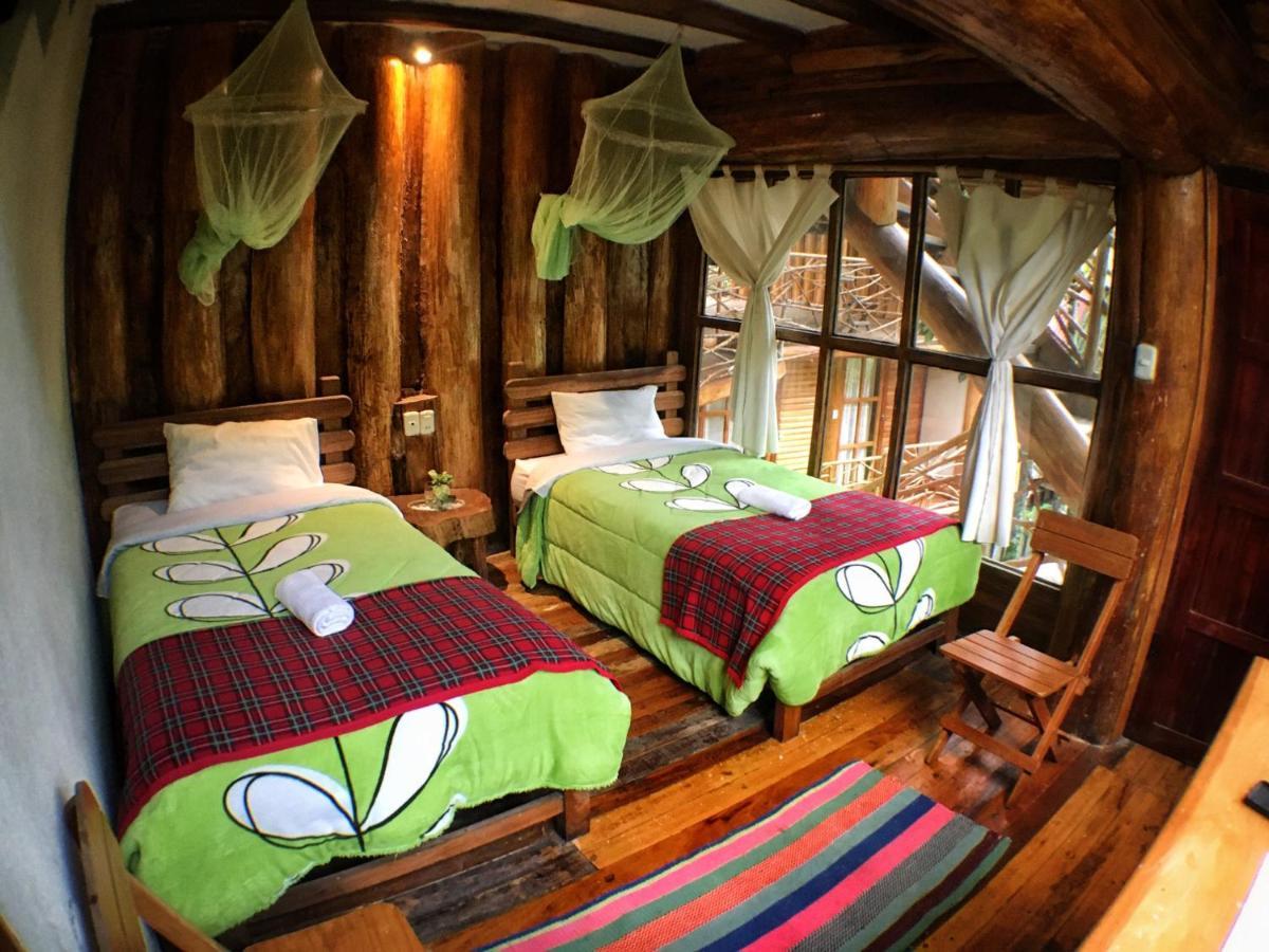 Eco Quechua Lodge Santa Teresa  Luaran gambar